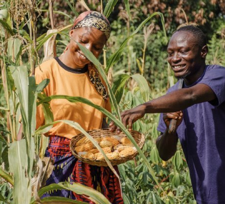 Food security (Agriculture and Nutrition)